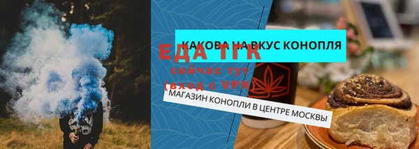 стаф Зерноград