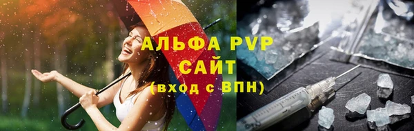 стаф Зерноград