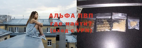 стаф Зерноград
