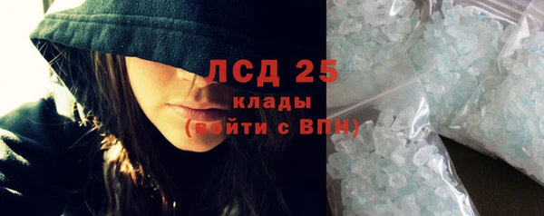 стаф Зерноград