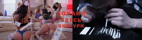 стаф Зерноград