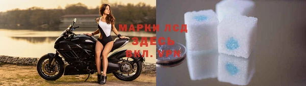 гидра Зеленокумск