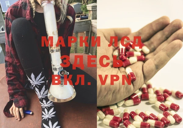стаф Зерноград