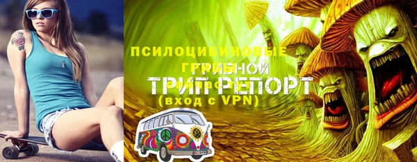гидра Зеленокумск