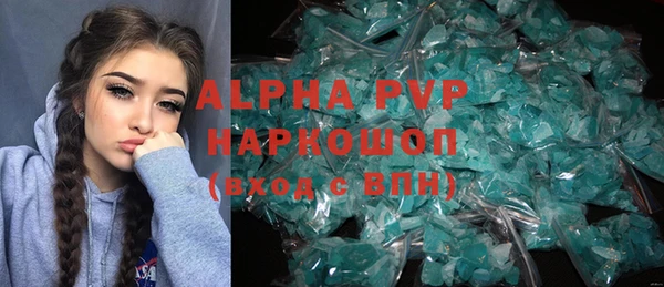 стаф Зерноград