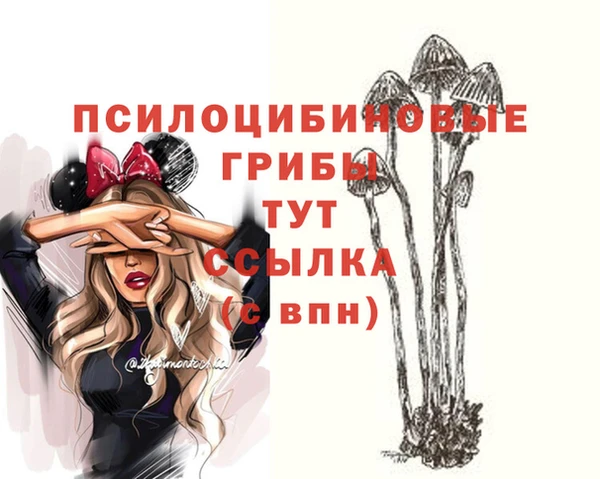 гидра Зеленокумск