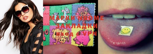 стаф Зерноград